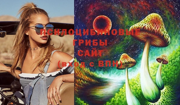 МДПВ Алзамай