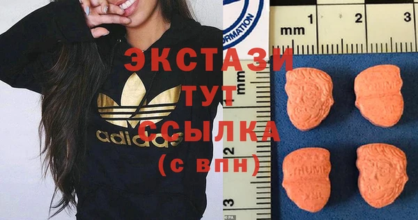 мет Алексин