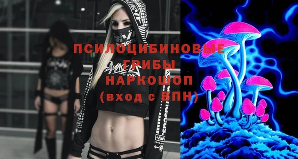 мет Алексин